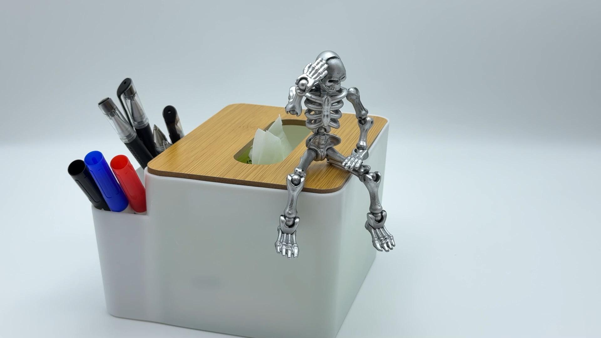Amazon.com: 6 Pack Skeleton Action Figure T/Dummy/Titan 13