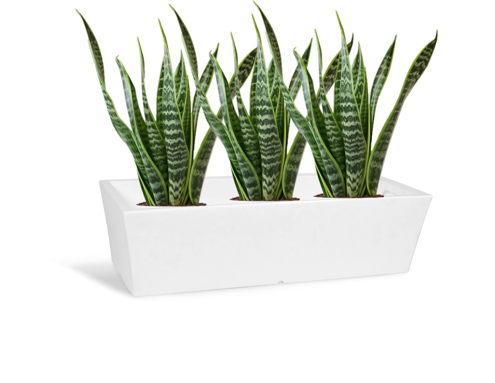 Vase fioriera rettangolare haut de gamme cassetta balcone fabrication italienne