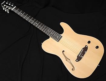 Amazon | SCHECTER OL-FL-N-P SNTL ナイロン弦 Oriental Line