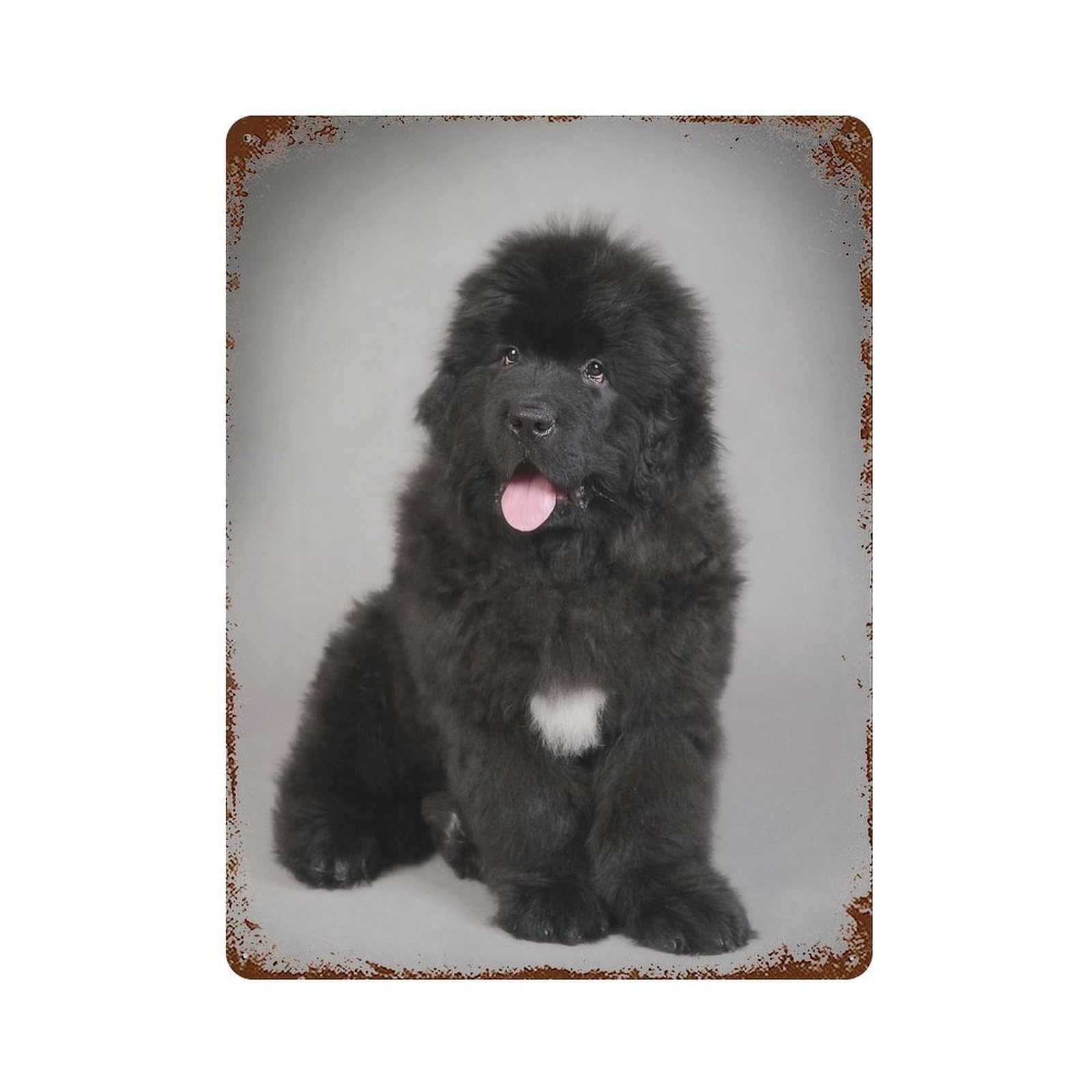 Newfoundland Puppy Retro Metal Sign 15.7"x11.8", Shabby Chic Decor for Garage, Pub Or Kitchen