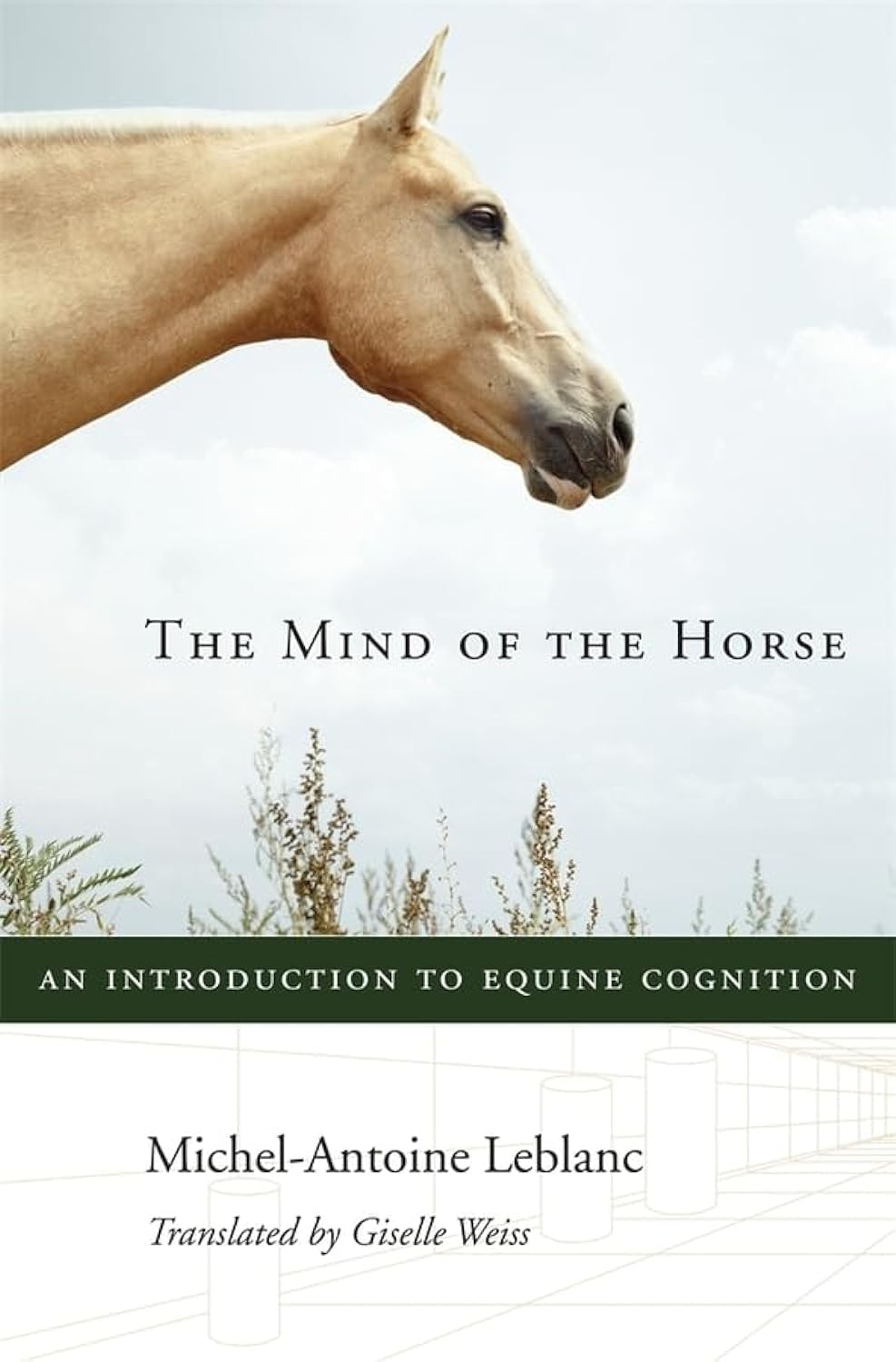 Buy The Mind of the Horse: An Introduction to Equine Cognition — BookShops.in