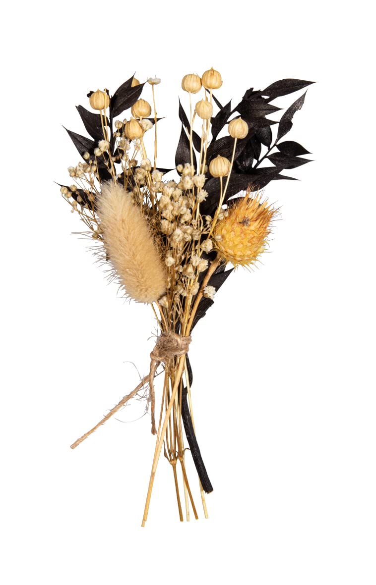 Rayher Getrockneter Blumenstrauß, schwarz, 1 Strauß, 18-20 cm, Basteln, Floristik, Dekoration, Scrapbooking, 85491576 Küche, Haushalt & Wohnen