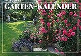 duftveilchen königin charlotte  Garten-Kalender 2017 - Broschürenkalender - Wandkalender - mit Jahresplaner - Format 42 x 29 cm