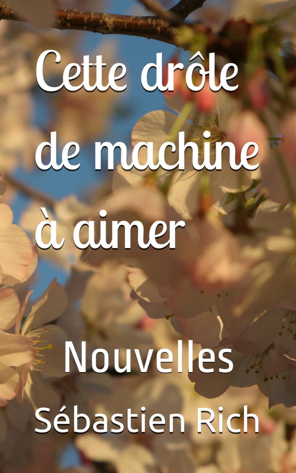Cette drôle de machine à aimer: Nouvelles (NOUVELLES ou histoires courtes)