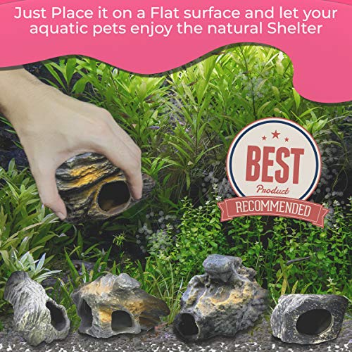 Corisrx Best Of Your Lifestyle Dr. Moss Cichlid Stone 5 Pc Luxury Set - Ceramic Rock Cave Aquarium Decorations - Fish Tank Decor #TOP4