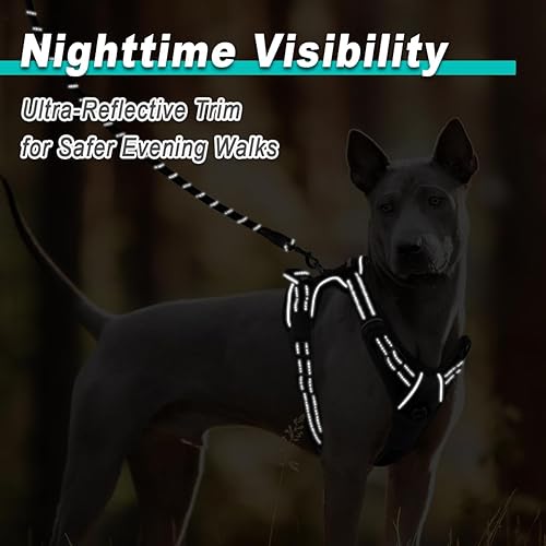Miniatura 5 de BARKBAY - Arnés para perro, sin tirones, reflectante grande con clip frontal y mango de control fácil para caminar, entrenamiento, correr (negro, L)