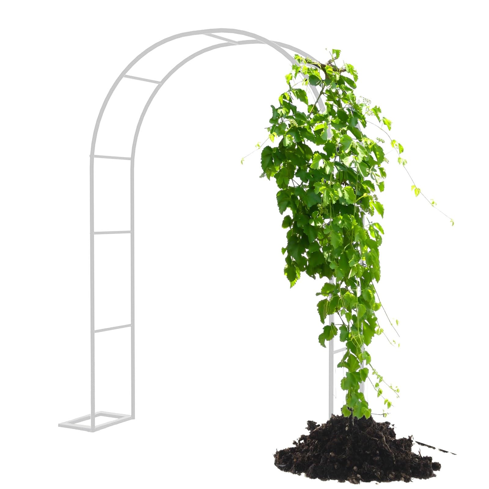 Arco de metal para jardín con ancho regulable enrejado de hierro para plantas trepadoras