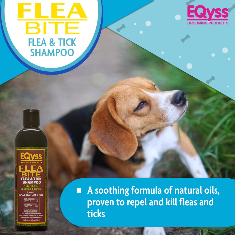 How Can I Soothe My Dogs Flea Bites