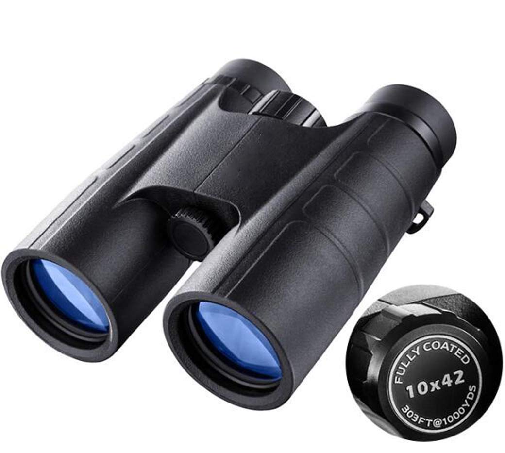 Jumelles Portables 10x42 Télescope Antidérapant pour Observer la Nature en Camping