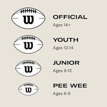 WILSON NFL Recreational Footballs