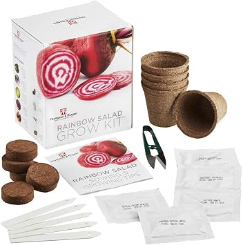 Rainbow Salad Seed Growing Kit Grow Your Own Five Colourful Varieties of Salad to Grow; Lettuce, Spring Onion, Radish, Beetroot & Cucumber Seeds, A Perfect Gardening Gift by Thompson & Morgan