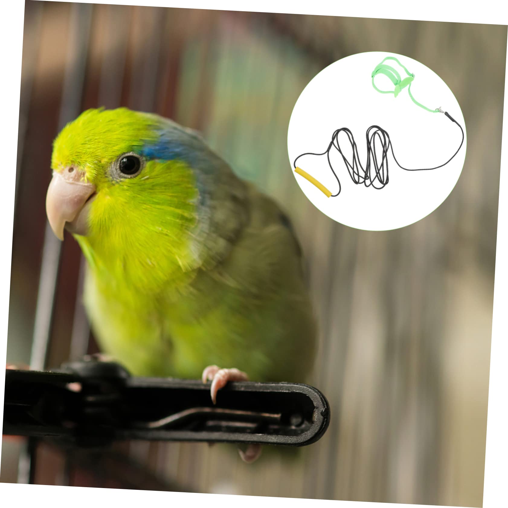 Happyyami Flying Rope Bird Harness and Leash Bird Harness Wing Flight Rope Bird Traction Rope Bird Training Harness Green
