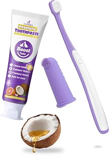 Vet Recommended Small Dog Teeth in Pakistan