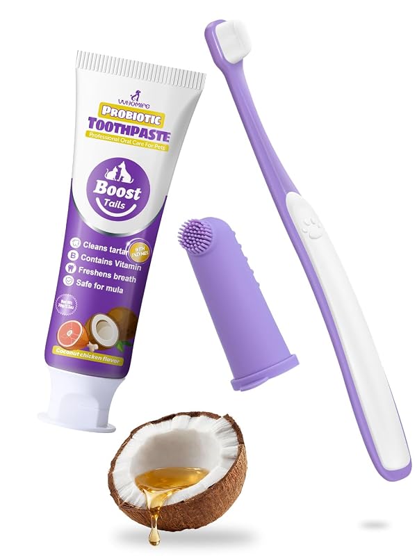 Kit de Creme Dental para Cães Pequenos VVHOMIFE com Escova Macia e Escova de Dedo, Sabor Coco e Frango, 71 g