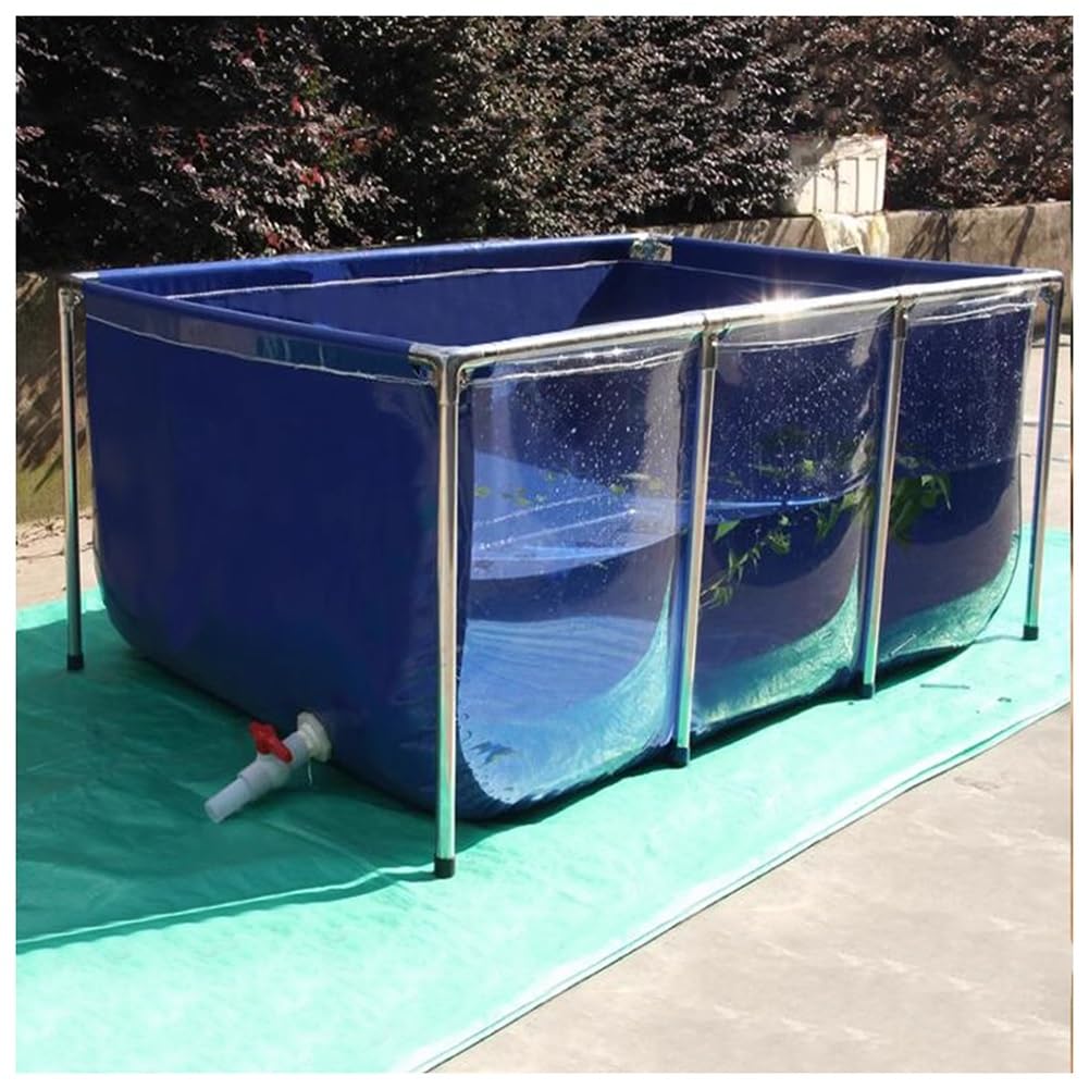 Bassin pliable en PVC avec fenêtre pour élevage de carpes koï