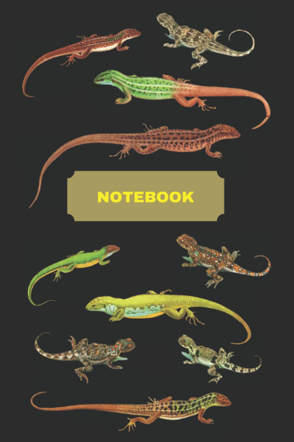 REPTILE AND AMPHIBIAN NOTEBOOK