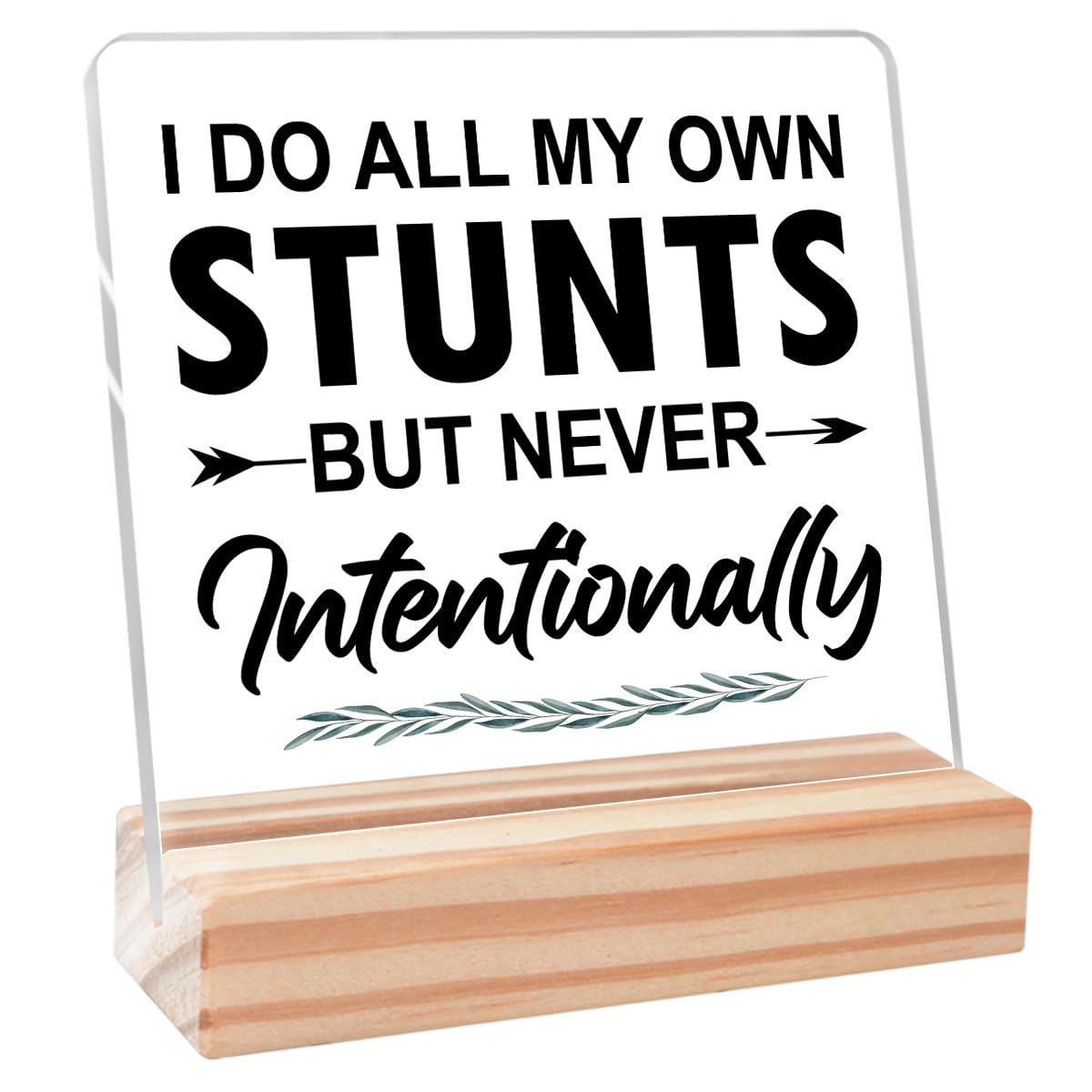 Inspirational Office Desk Decor,Motivational Office Gifts for Women Colleague,Positive Cubicle Gifts for Coworkers,I Do All My Own Stunts Acrylic Plaque Decor
