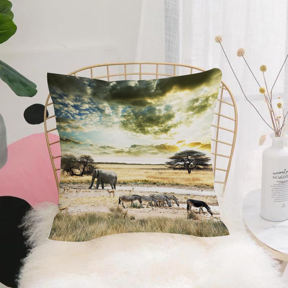 HYOSXW Cushion Cover,Throw Pillow Case Home Decorative for Living Room Bedroom Sofa Chair 16X16 Inch,Landscape Africa Wild Savannah Elephant Safari Sunset Animals Arid Bush,Pillowcase 40X40cm