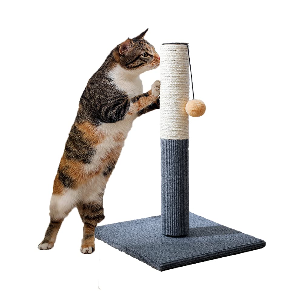 Buy NeoStyle Cat Scratching Post for Indoor Cats,Cat Scratcher with