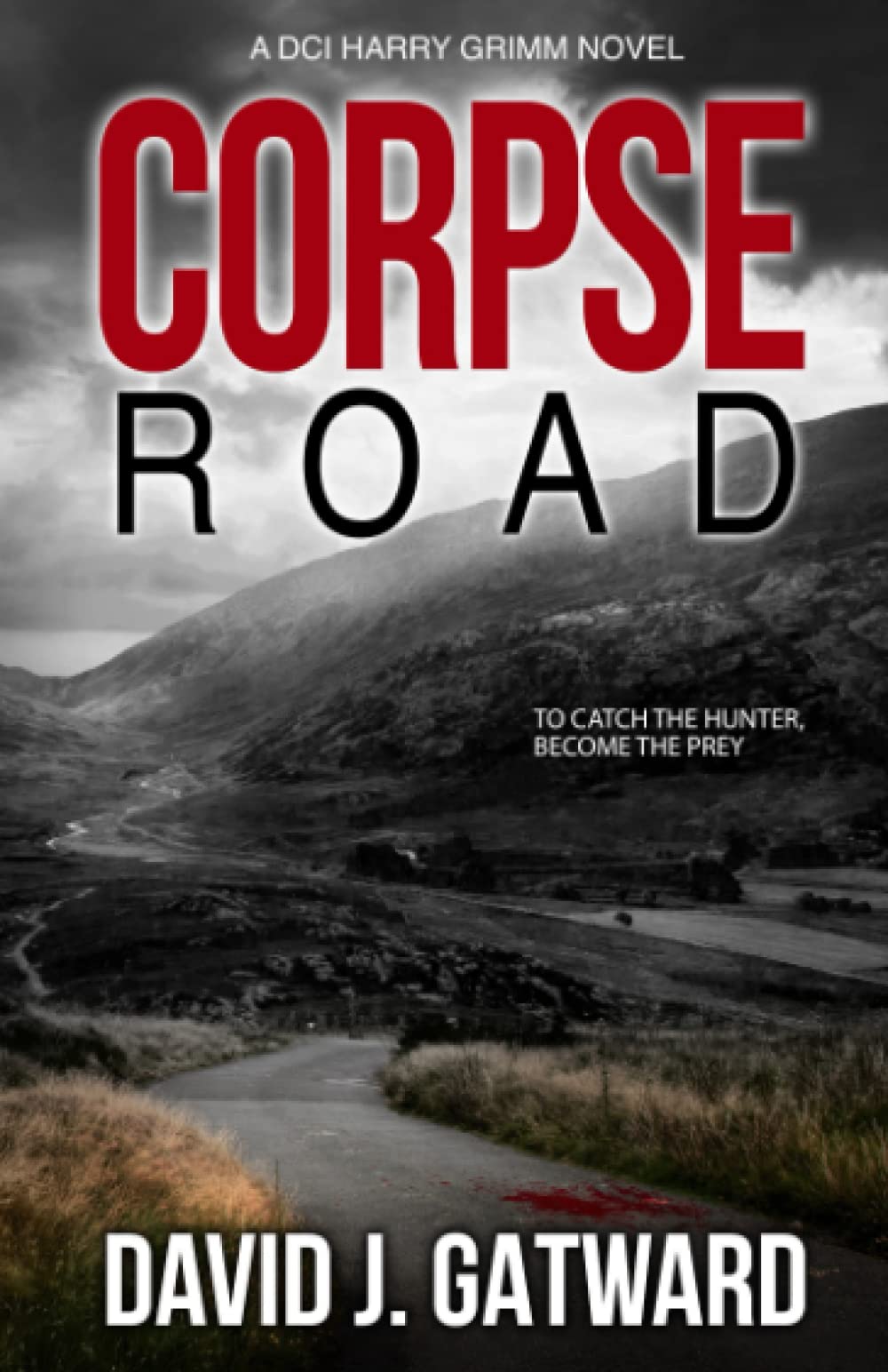 Corpse Road: A DCI Harry Grimm Novel