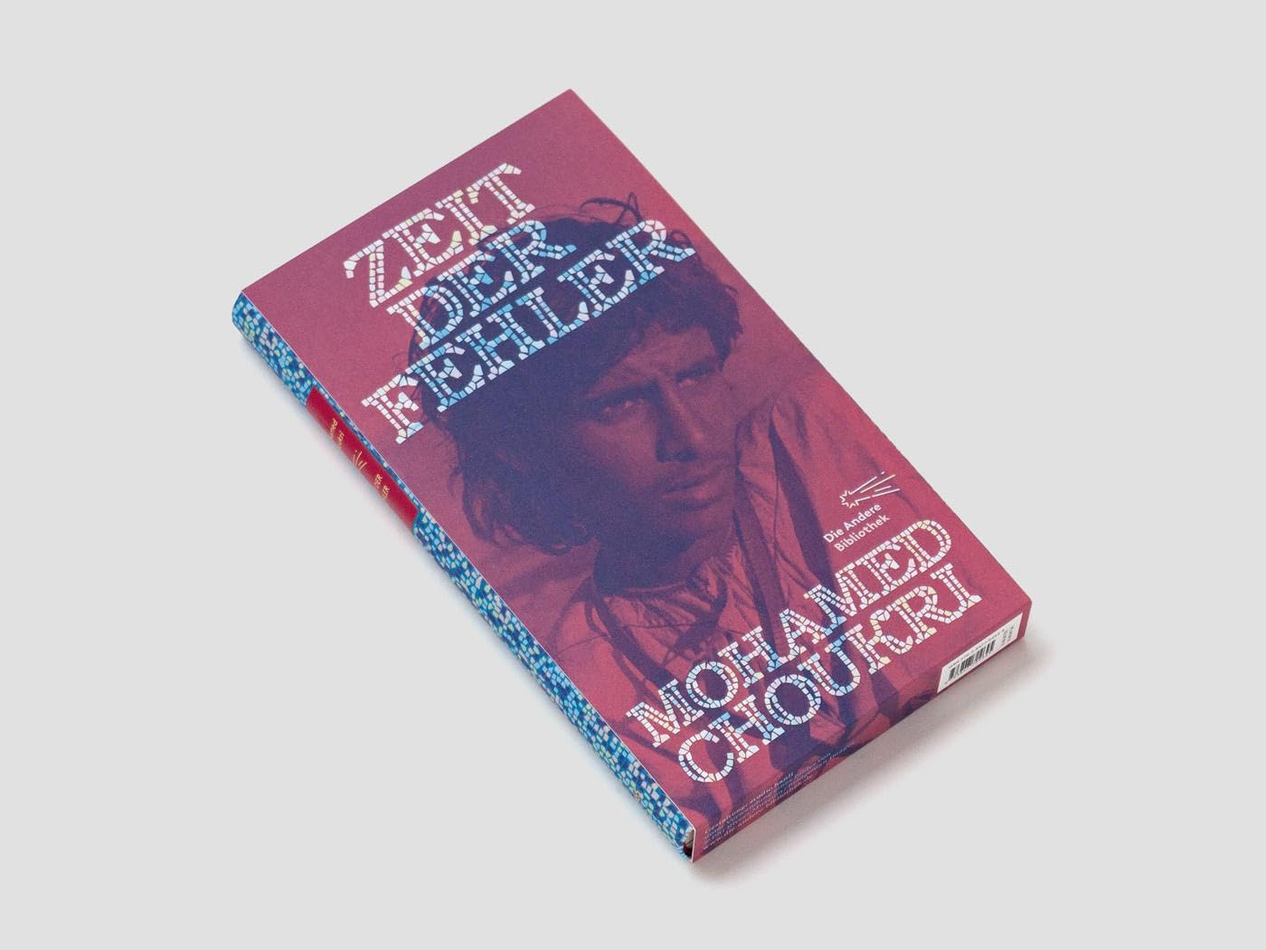 Zeit der Fehler: Autobiographischer Roman (Die Andere Bibliothek, Band 465)