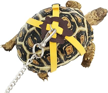 turtle leash amazon