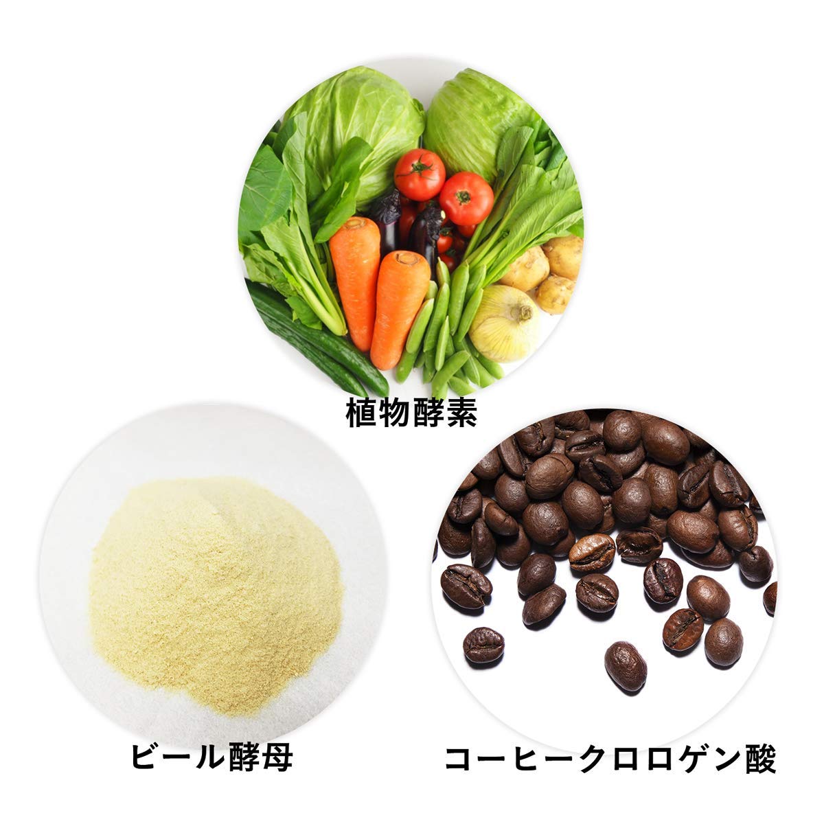 Amazon | ファイン(FINE JAPAN) 酵母×酵素219×コーヒークロロゲン酸 粒 