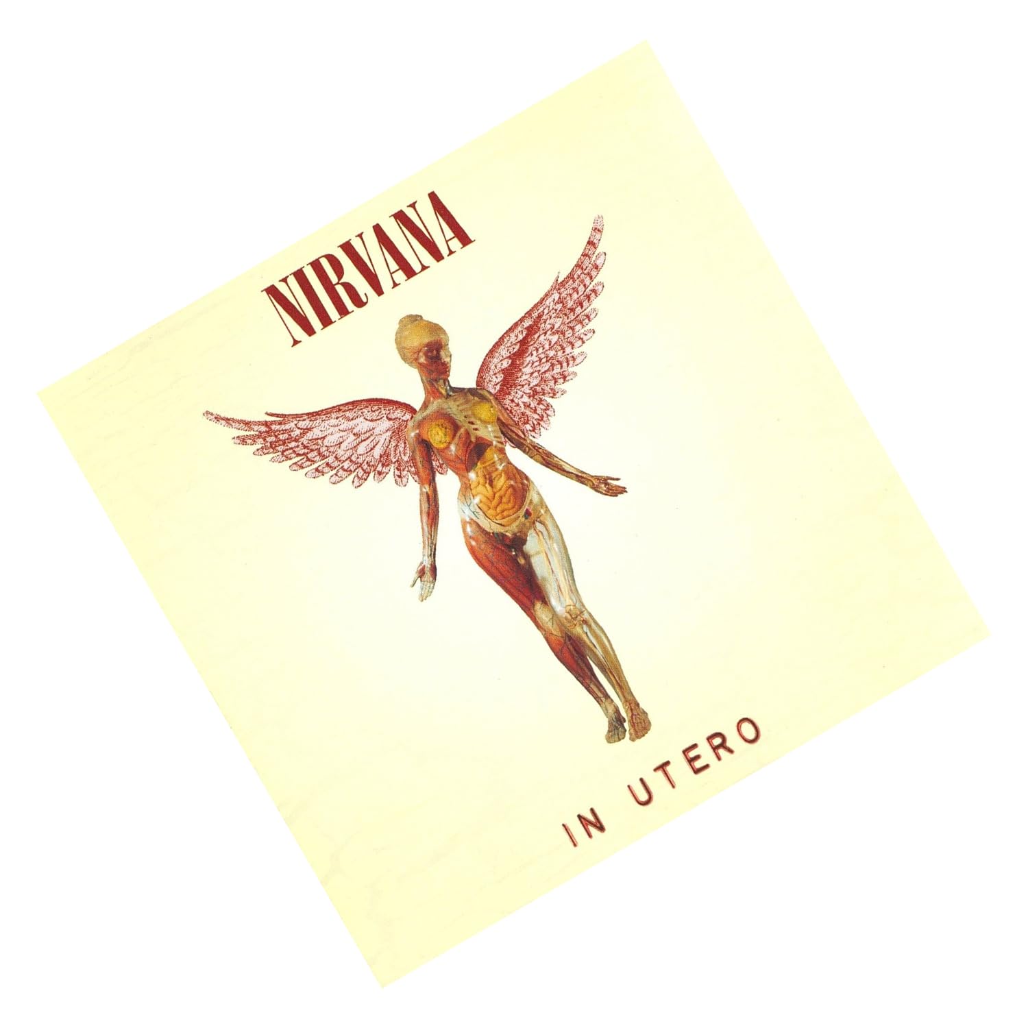 Amazon.co.jp: Scifiplanet Nirvanaポスター - In Utero - 公式