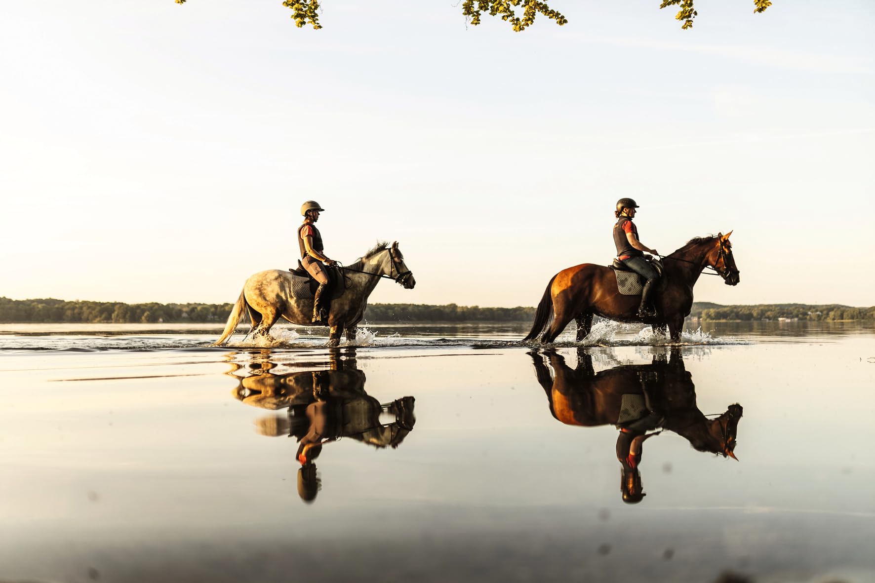 Equestrian: The Ultimate Book