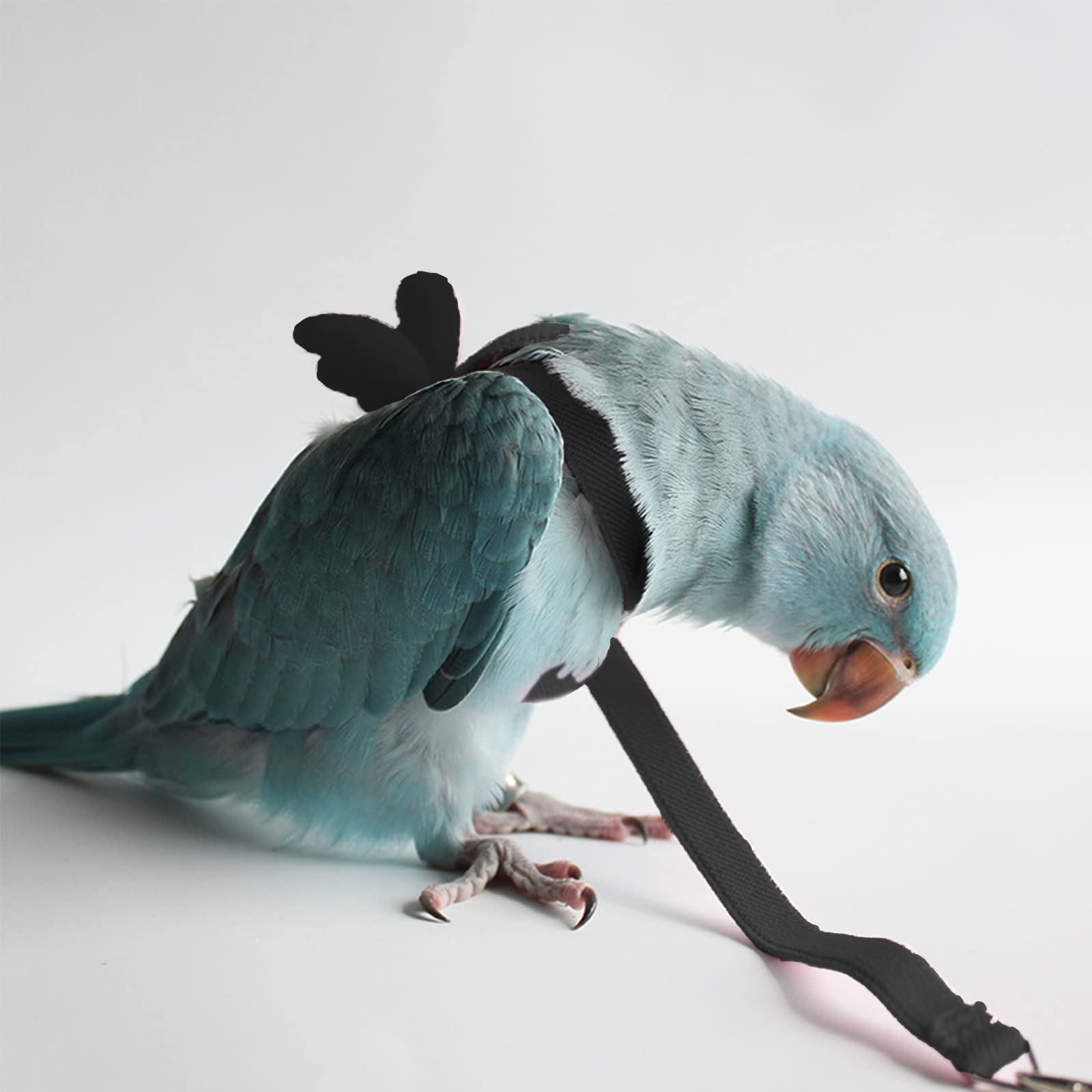 Vogelgeschirr & Leine Für Papageien - Verstellbares Flugset Für Outdoor Training