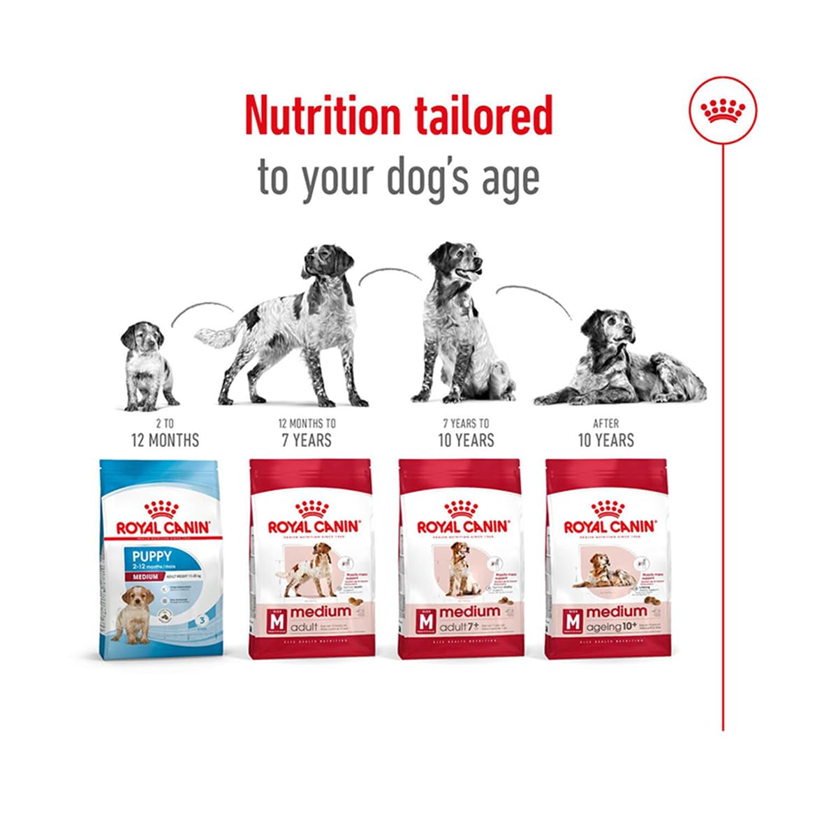 Royal Canin C-08405 S.N. Adulto medio - 10 kg