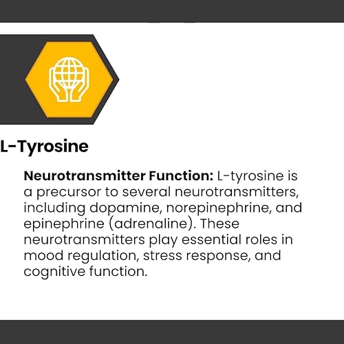 Miniatura 7 de Cognisync Suplemento nootrópico para la salud cerebral, mejora cognitiva, apoyo de niebla cerebral, soporte de memoria, enfoque y concentración,