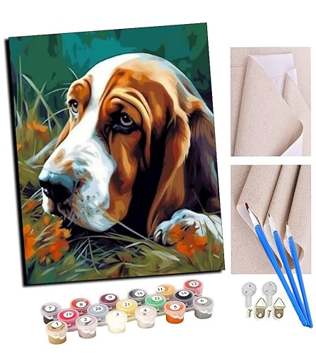 TUDOUTU Paint by Numbers Kits for Adults Basset Hound Half face Grass (8) with Brushes and Acrylic Pigment DIY Digital Canvas Painting for Adults Beginner-16X20 Inch with Frame