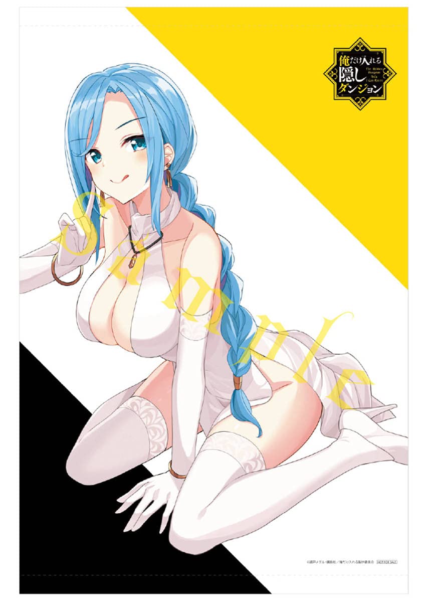 Amazon.co.jp: 俺だけ入れる隠しダンジョン アニメイト 全巻購入特典