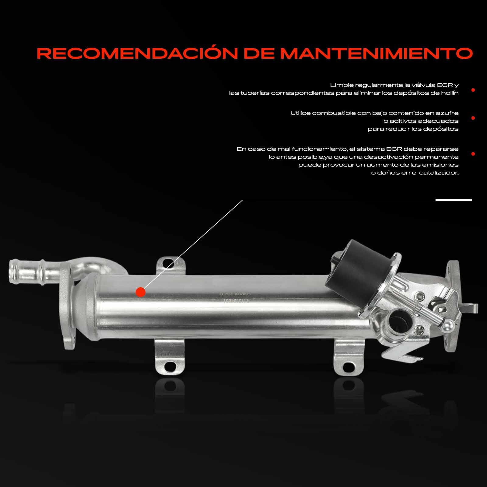 Frankberg Válvula EGR enfriador recirculación de gases de escape | 03L131512B; Compatible con: Altea XL 5P5 5P8, T.o.u.r.a.n 1T1 1T2, CC 358, Golf Plus 521 5M1, O.c.t.a.v.i.a II 1Z3