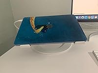 Review Image by Helen Helen