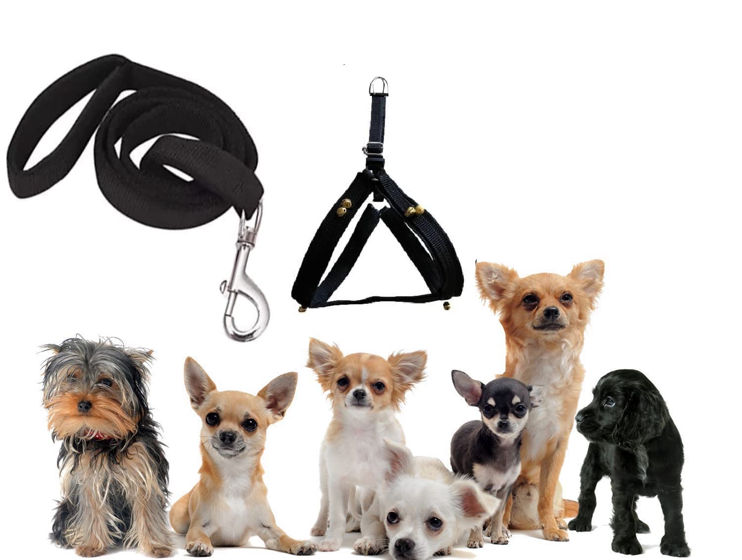 SENAPATI Ghungroo Small Dog Puppy Harness Adjustable and Belt Combo Set (Waterproof, Nylon) (Black, X-Small)