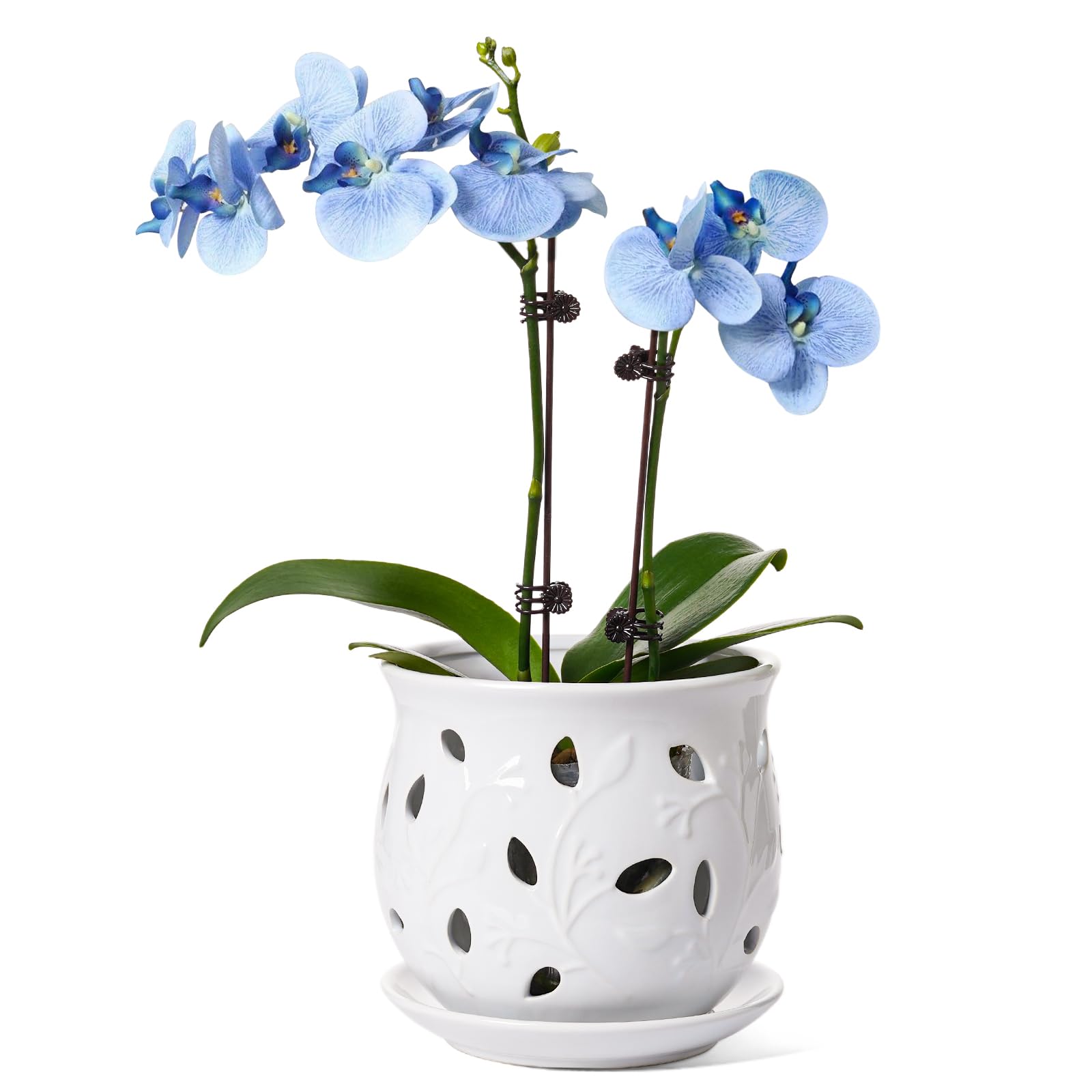 LE TAUCI Ceramic Orchid Pot, 6.5 Inch Orchid Pots with Holes, Orchid Planter for Repotting, Indoor Flower Plant Pot with Drainage and Saucer, White