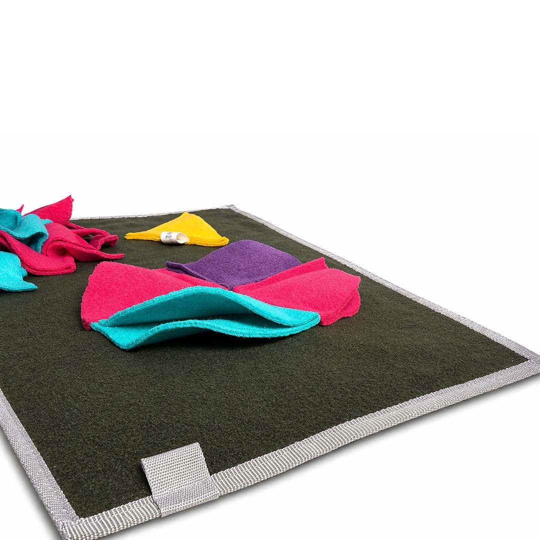 Pawtools Kokla-Bul Köpek Koklama Matı Mini Boy – Zihinsel Aktivite Oyuncağı