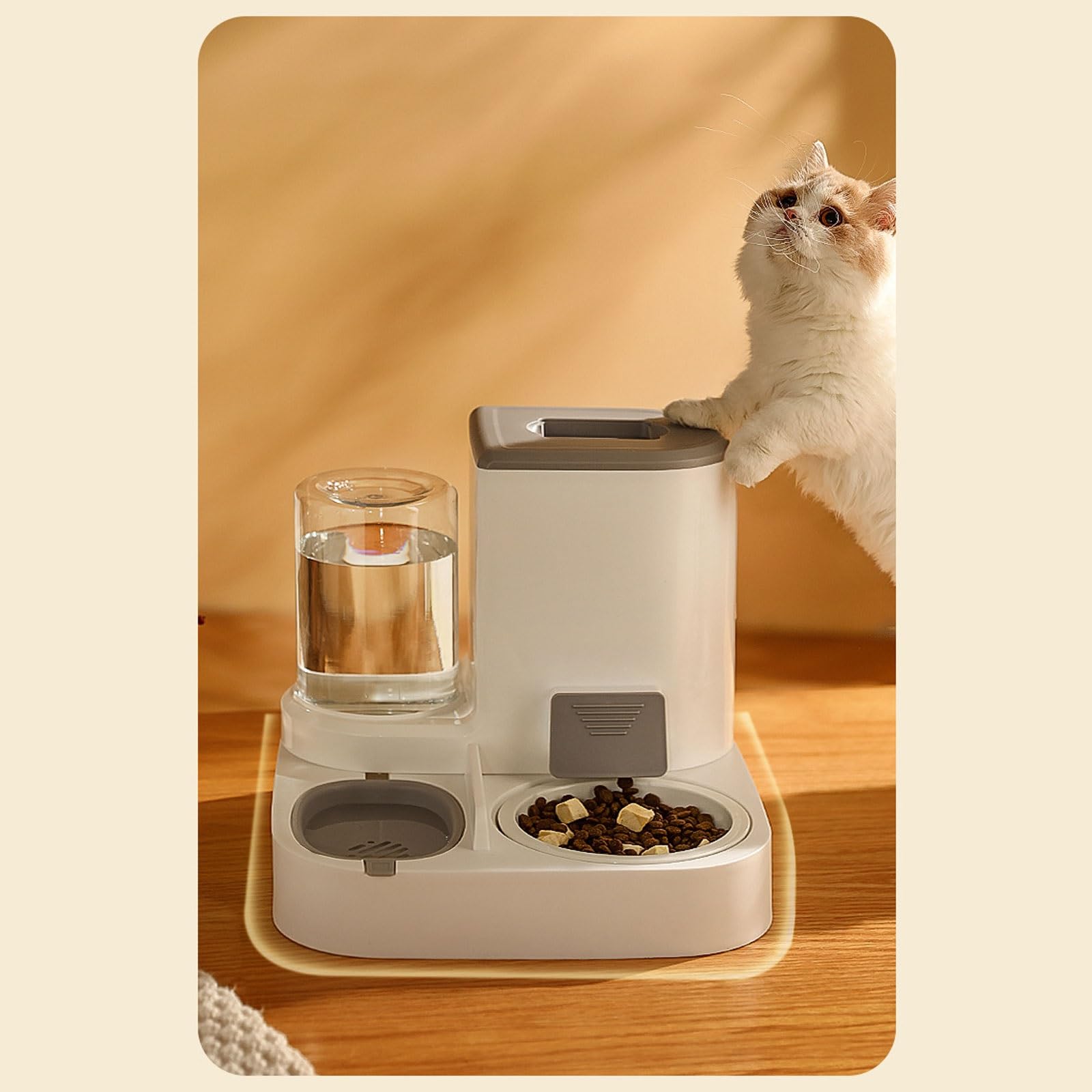 Mangiatoie Alimentatore automatico 2-in-1 domestici e stoccaggio di cibo per animali domestici più acqua rimovibile facile da pulire per cani gatti Articoli per animali