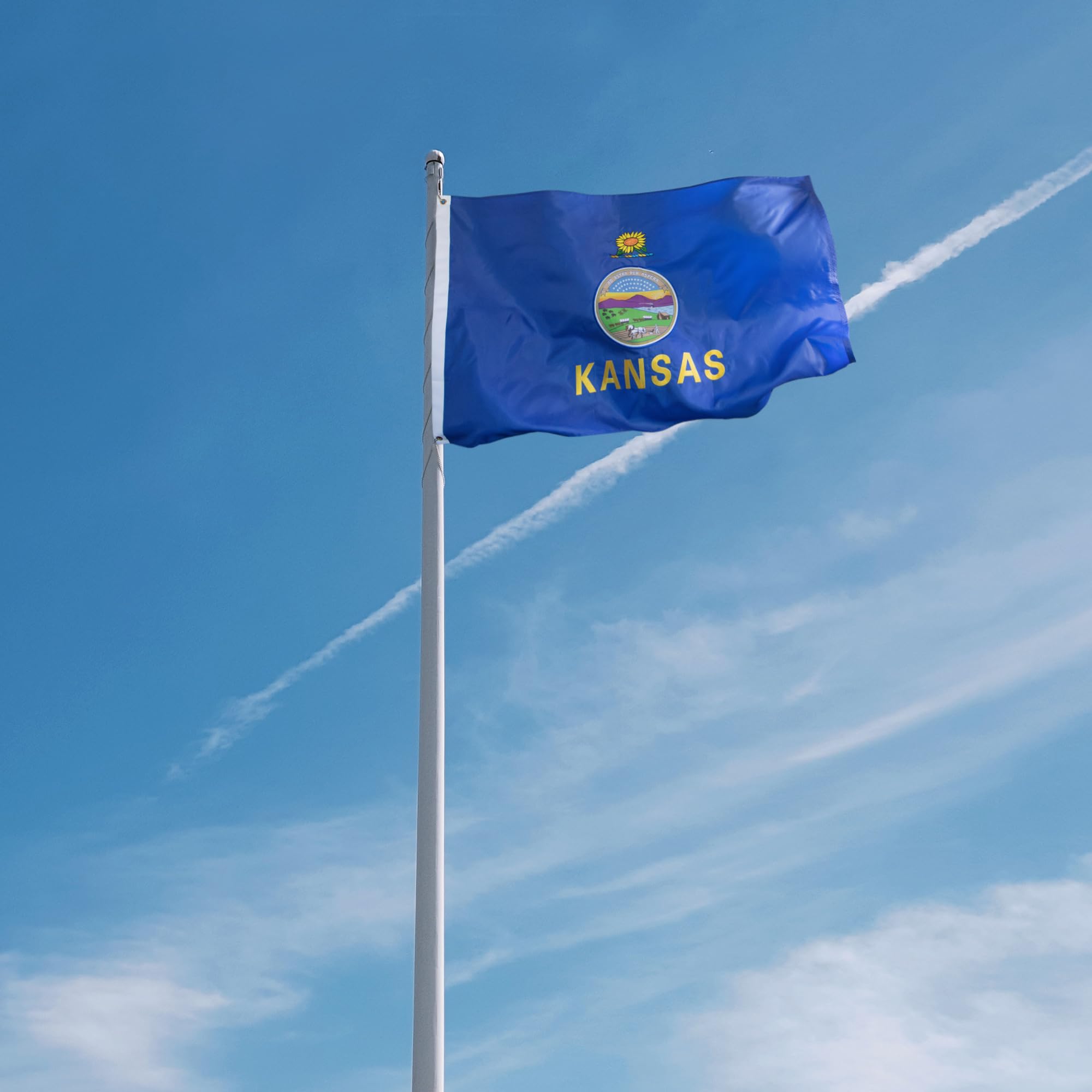 Anley Serie EverStrong Bandiera Ricamata dello Stato della Carolina del Sud 3x5 Piedi - Ricamo e Intestazione in Tela Resistente - Bandiera SC