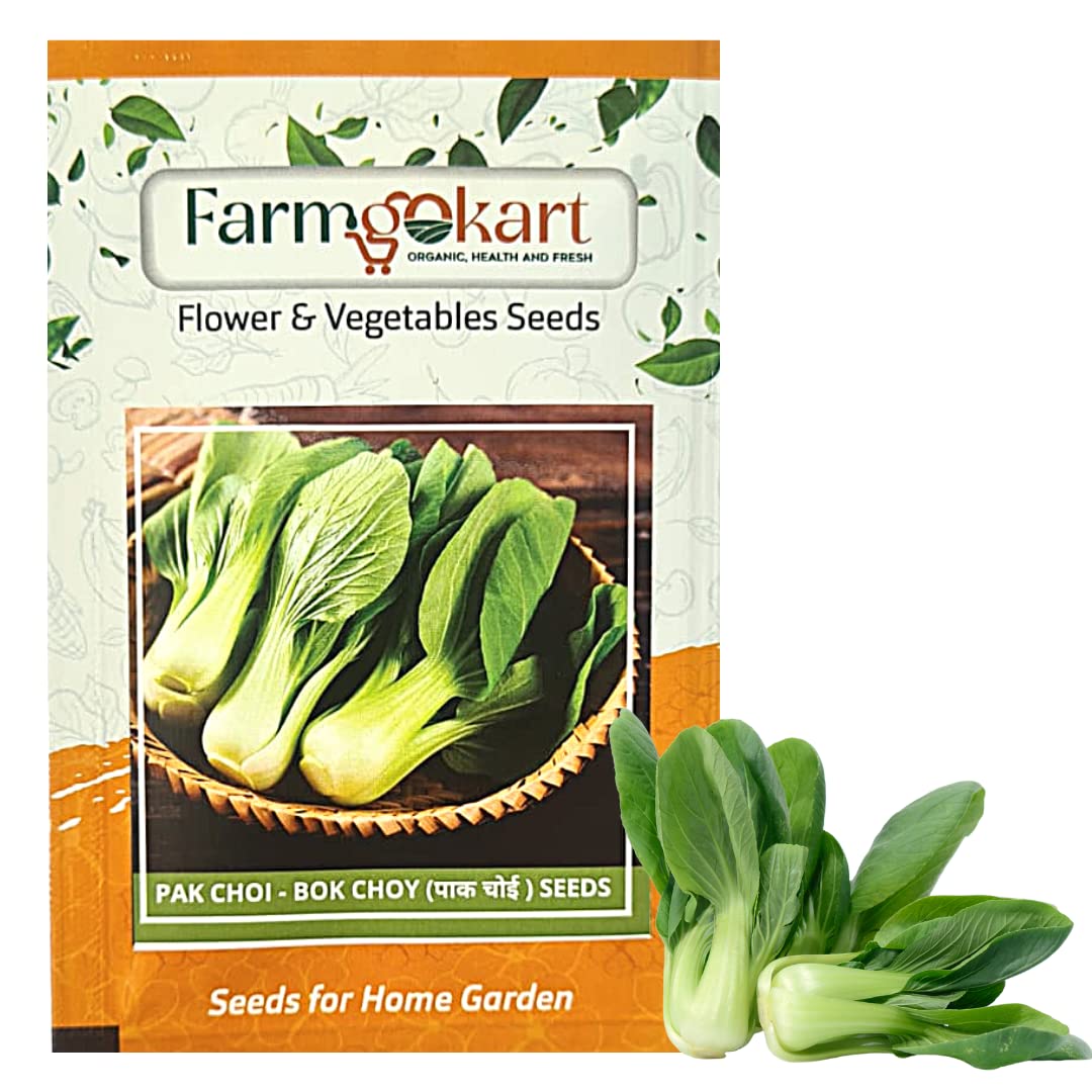 10 Gms of PAK CHOY/BOK CHOY LEAFY VEGETABLE SEEDS | Appx 3500 Seeds | High Germination Quality Seeds Pouch | for Home Gardening, Farming, Hydroponics and Poly Houses (B0BSQXK9TL) Amazon Price History, Amazon Price Tracker