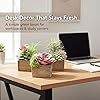 Product Photo 5