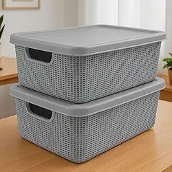 Kit 2 Caixas Organizadoras Plásticas Com Tampa 15L Empilháveis Alça Lateral Multiuso Para Roupas Brinquedos Ferramentas (Cinza)