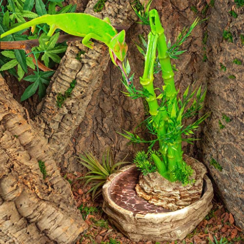 Reptizoo Reptile Water Dispenser Automatic Water Fountain Height Adjustable 2 In 1 Bamboo Plant Water Dripper For Reptiles Chameleon Lizard Gecko Amphibians #TOP7