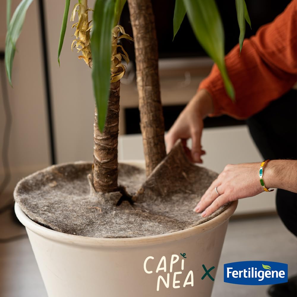 Fertiligène Capinea X Disque de paillage