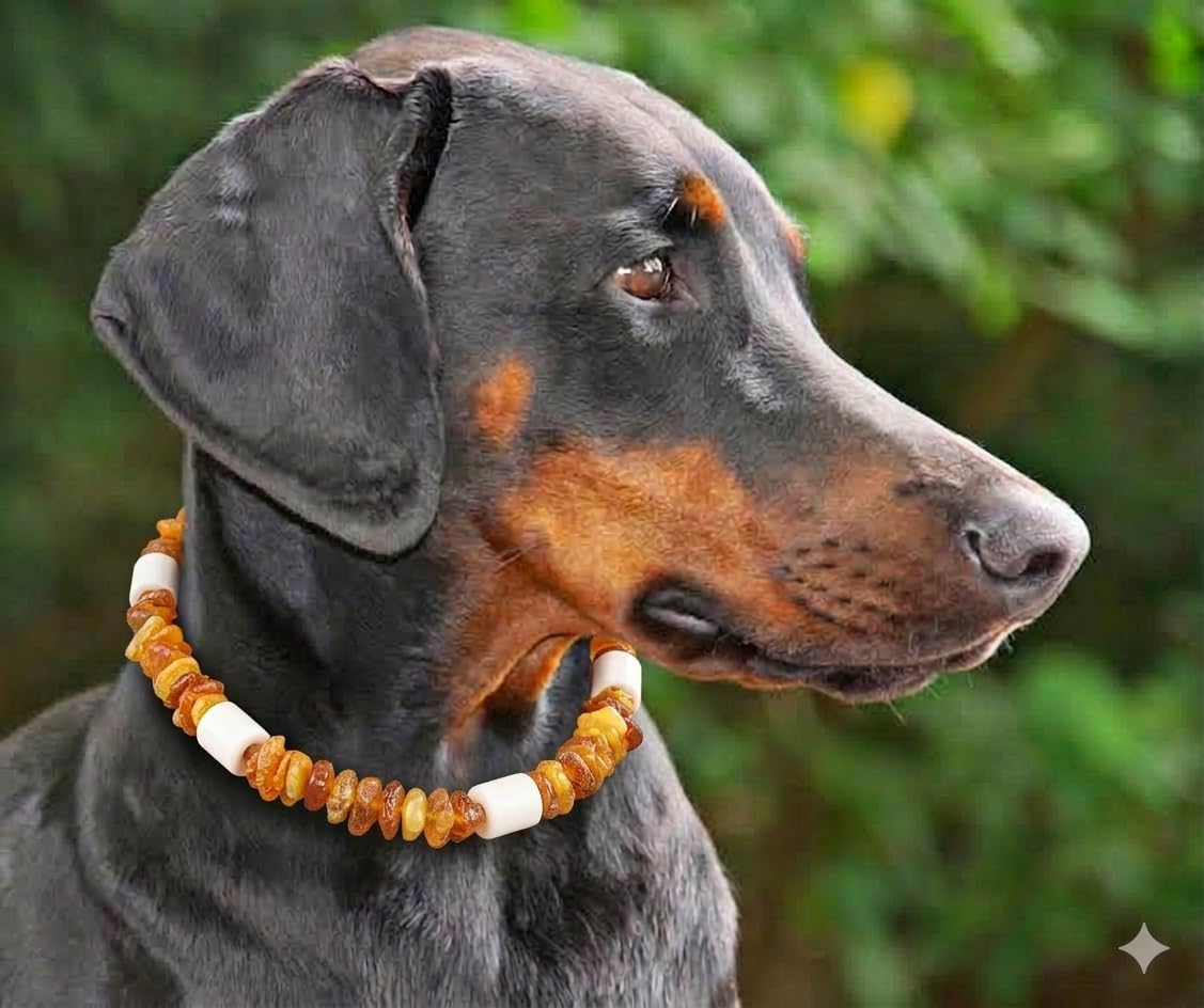 Baltic Secret Bernsteinkette Hund mit EM Keramik Pipes - Effektive MIKROORGANISMEN - Bernsteinhalsband Hunde - Bernstein