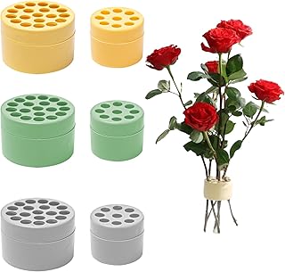 6 PCS Spiral Ikebana Stem Holder Soporte de Tallos de Flores en Espiral Anillo de Soporte de Tallo en Espiral Soporte Reutilizable para Arreglos Florales para Fijar Ramos 7×4.5cm,4.9×3.9cm