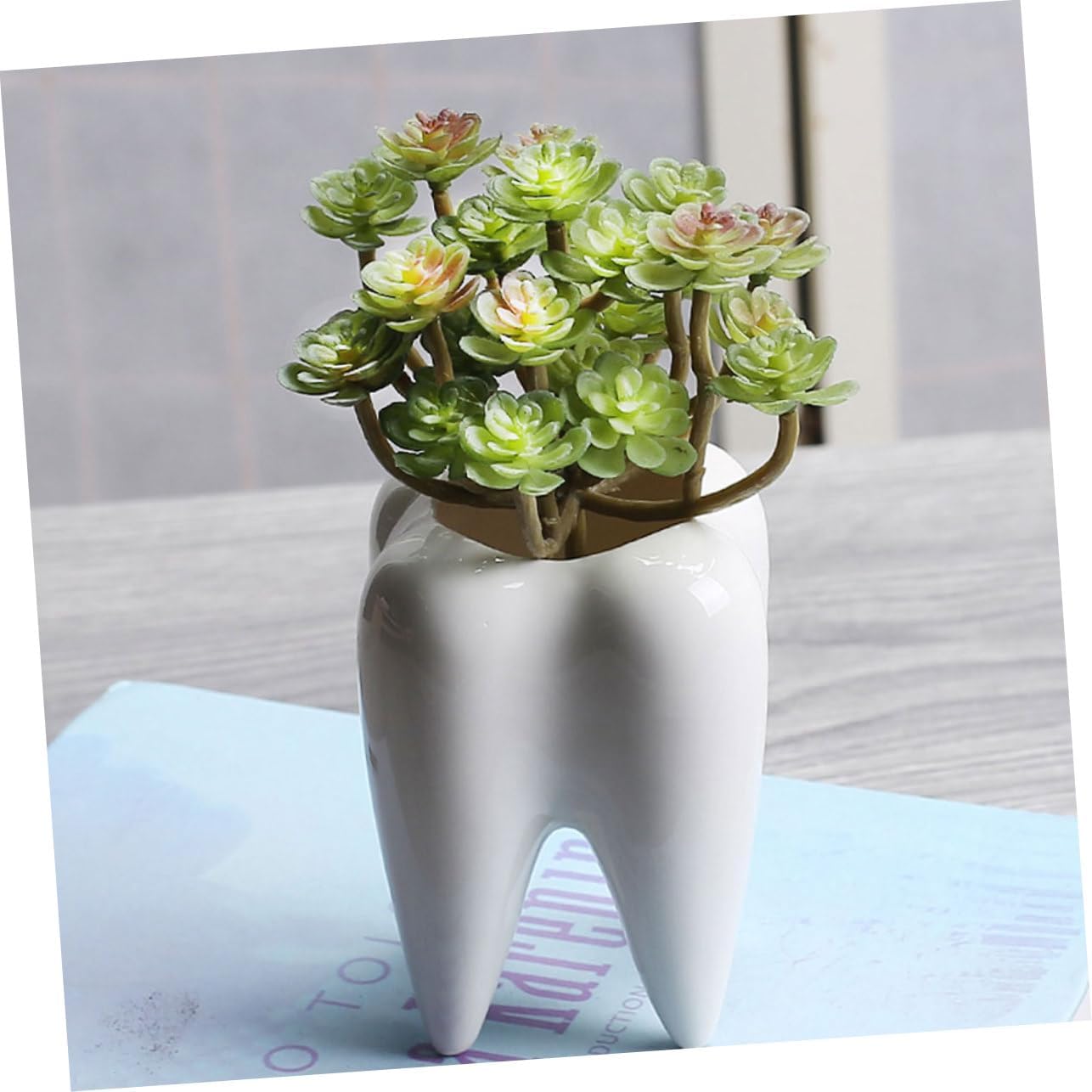 6pcs Flower Pot Holder Tooth Shape Ceramic Succulent Pot for Garden Decorative Plant Nursery Accessory
