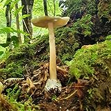 Die Gruppenaktivitäten im Klassenzimmer werden durch Gespräche und Zigarettenrauch gestört